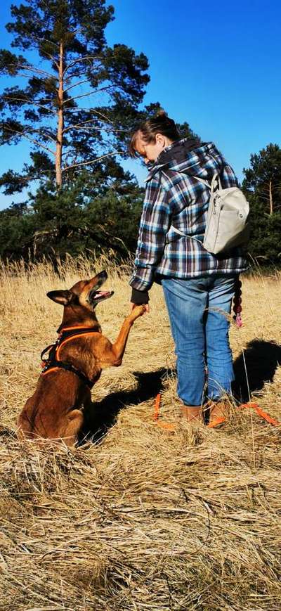 14. Handyfoto-Challenge: "BUDDY-Builder"-Beitrag-Bild