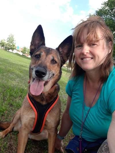 Zeigt eure Malinois!!!-Beitrag-Bild