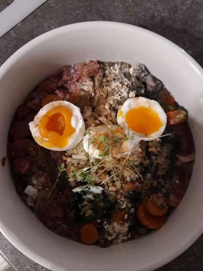 Zeigt her Eure Futternäpfe-Beitrag-Bild