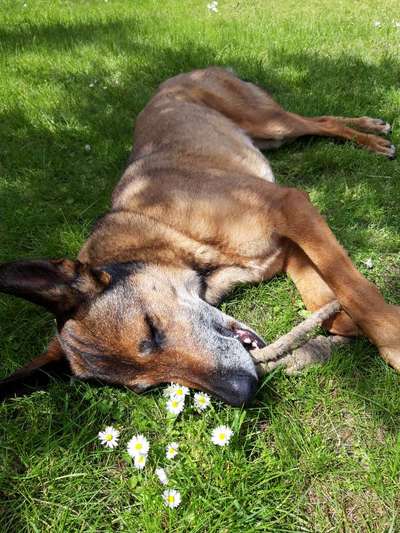 140. Foto Challenge - schattiges Plätzchen-Beitrag-Bild