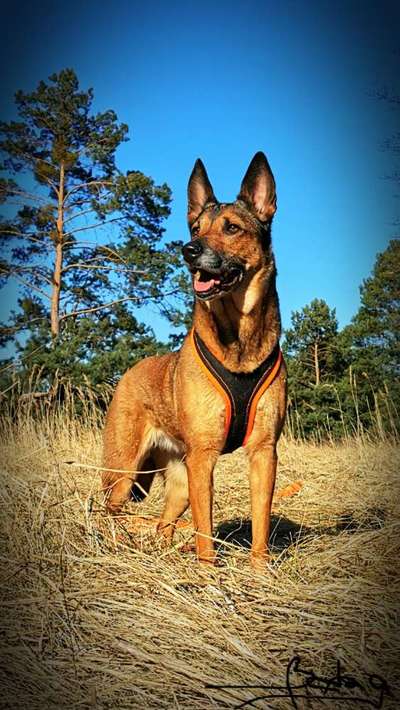 Zeigt eure Portraits-Beitrag-Bild