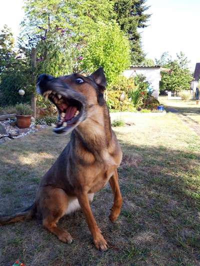 "Die eingefangene Magie des Augenblicks"-Beitrag-Bild