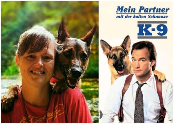 Dogorama Photo Challenge - TV Hund-Beitrag-Bild