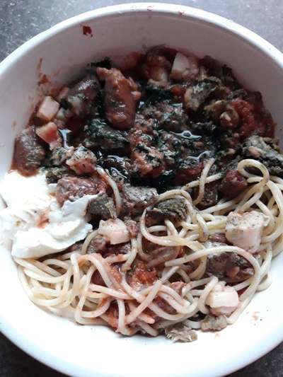 Zeigt her Eure Futternäpfe-Beitrag-Bild