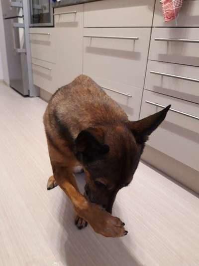 25. Handy Foto Challenge-Beitrag-Bild