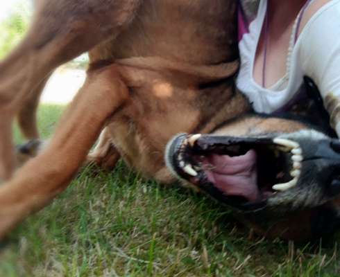 FOTO CHALLENGE Thema ,,durchdrehen"-Beitrag-Bild