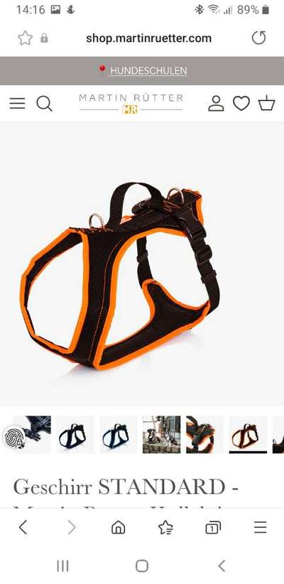 Wie sitzt mein Geschirr?-Beitrag-Bild