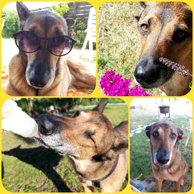 Zeigt eure schönsten Sommerbilder-Beitrag-Bild