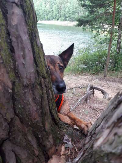 143. Fotochallenge: Ja, wo isser denn?-Beitrag-Bild