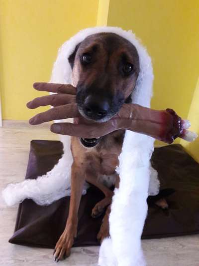 Moviestar-Pics!-Beitrag-Bild