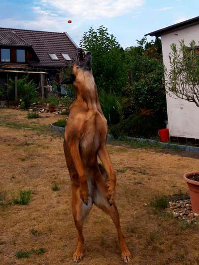 45. Handy - Foto - Challenge-Beitrag-Bild