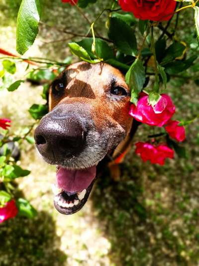 Handy-Foto Challange Nr. 10-Beitrag-Bild