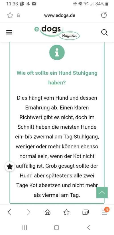 Muss morgens früh koten-Beitrag-Bild