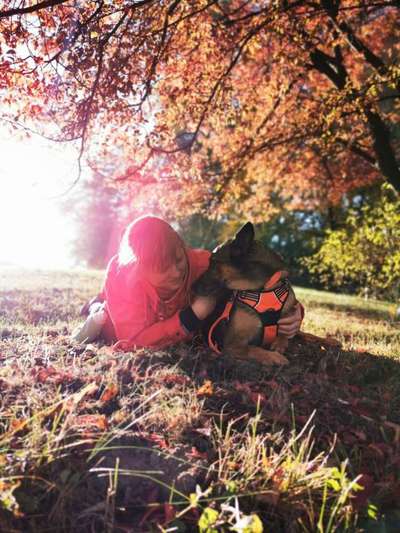 Herbst Bilder-Beitrag-Bild