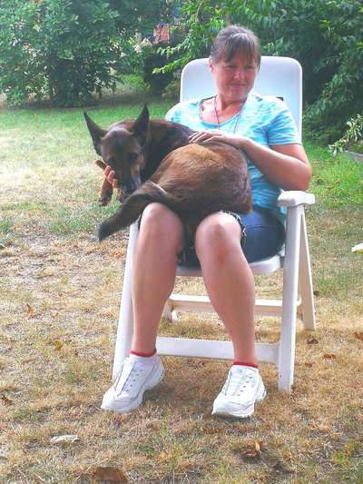 Zeigt her; eure "zu gross geratenen Schosshunde"-Beitrag-Bild