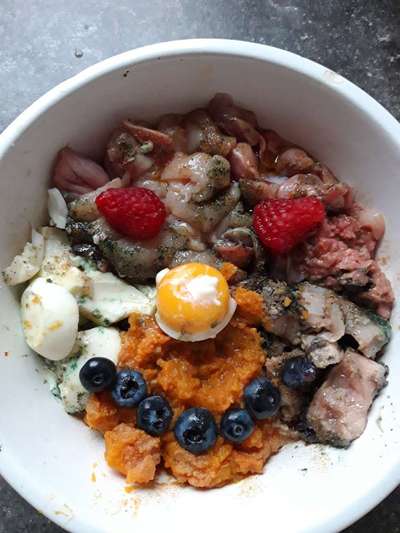 Zeigt her Eure Futternäpfe-Beitrag-Bild