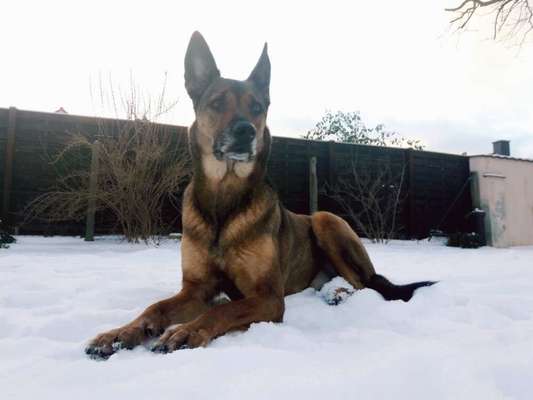 Der erste Schnee, zeigt uns eure tollen Schneemomente-Beitrag-Bild