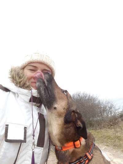 Tongue Out Tuesday-Beitrag-Bild