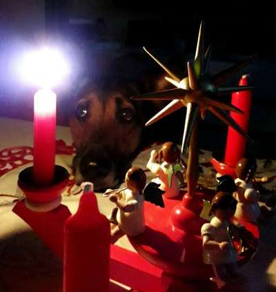 11. Farben Foto Challenge Rot-Beitrag-Bild