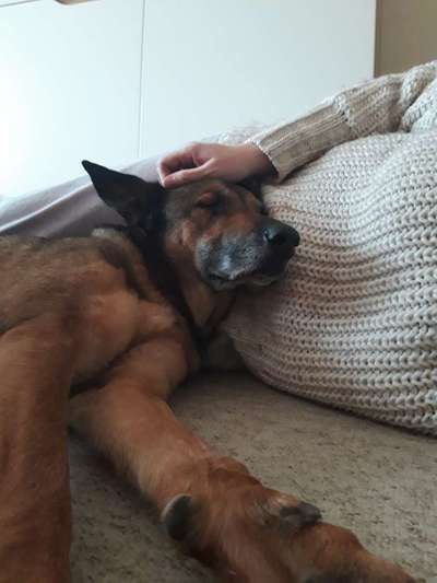 FOTO-Challenge  NR. 91: Die pure Entspannung-Beitrag-Bild