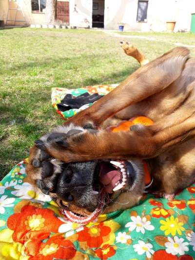 Handy-foto Challange nr. 11-Beitrag-Bild