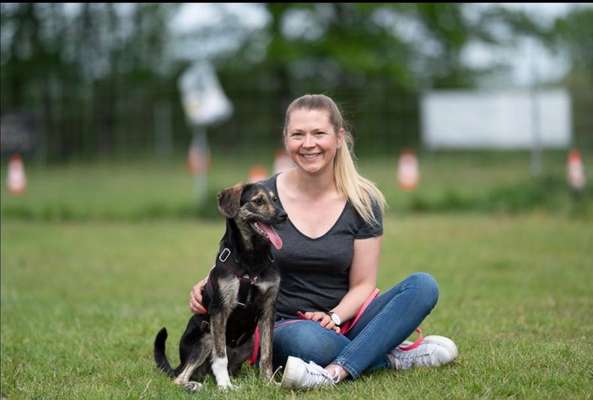 Hundetreffen-Social Walks-Bild