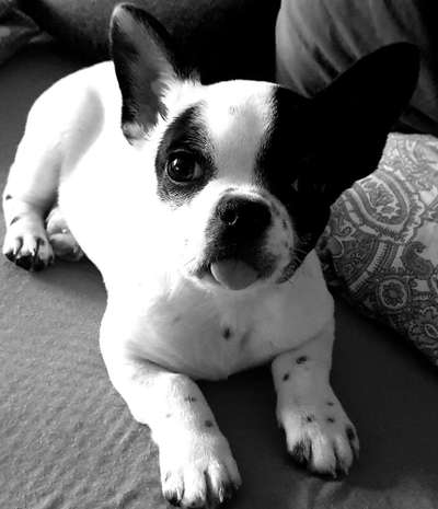 Foto-Challenge 76: Foto in Schwarz-Weiss-Beitrag-Bild