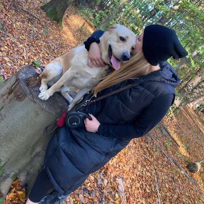 Hundetreffen-Gassi & Spieltreffen