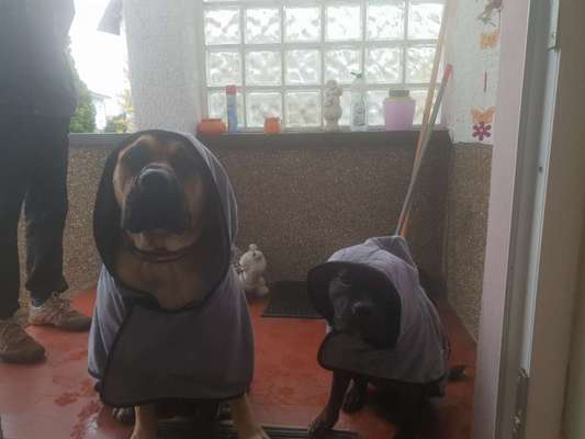 Trockenhandtuch/handschuh-Beitrag-Bild