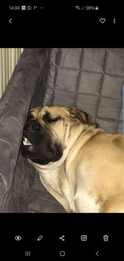 Zeigt mir eure Lieblingsfotos ♡♡-Beitrag-Bild