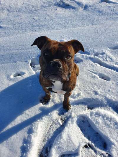 Zeigt mir eure Lieblingsfotos ♡♡-Beitrag-Bild