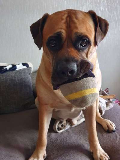 Zeigt mir eure Lieblingsfotos ♡♡-Beitrag-Bild