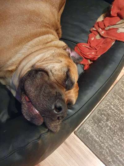 Zeigt mir eure Lieblingsfotos ♡♡-Beitrag-Bild