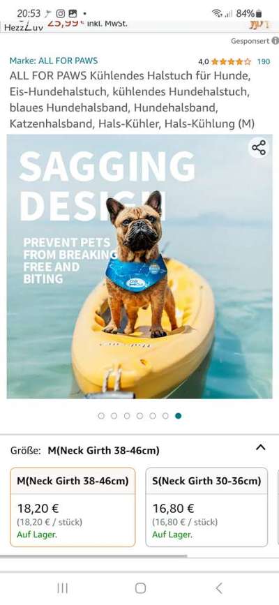 Gewöhnt sich der Hund an die Hitze?-Beitrag-Bild