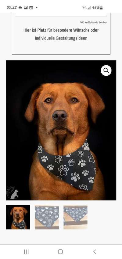 🐾Vermenschlichung🐾-Beitrag-Bild