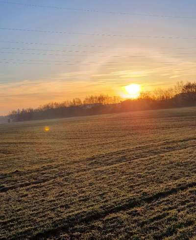 Dogorama Foto Challenge - Dämmerung-Beitrag-Bild