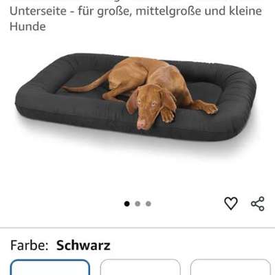 Hundebett ohne Reißverschluss-Beitrag-Bild