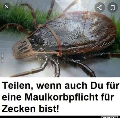 Wer kennt dieses Tier?-Beitrag-Bild