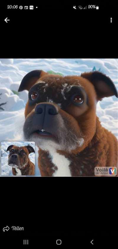 Voila app Bilder-Beitrag-Bild