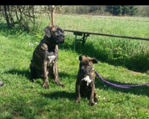 Gewaltfrei erziehen-Beitrag-Bild