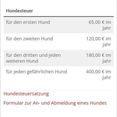 🐶💸 Hundesteuer steigt vielerorts – ist das gerechtfertigt?!-Beitrag-Bild