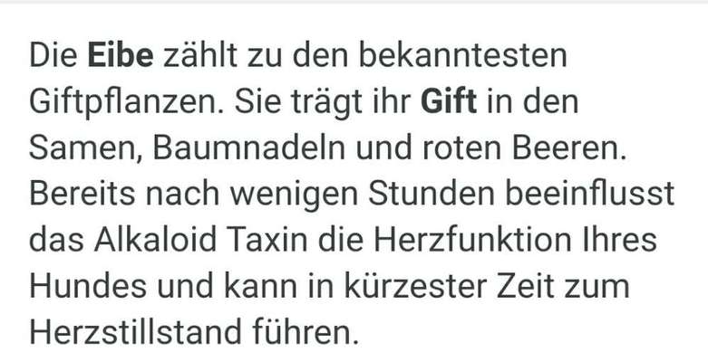 Wunderschöne aber auch "giftige Natur"...Sammeltread, für Giftpflanzen möglichst mit  (eigenem) Foto-Beitrag-Bild