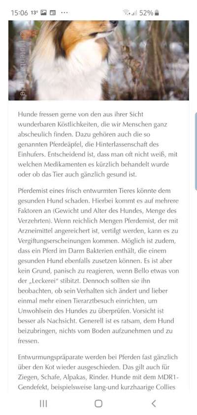 Hundekot :D-Beitrag-Bild