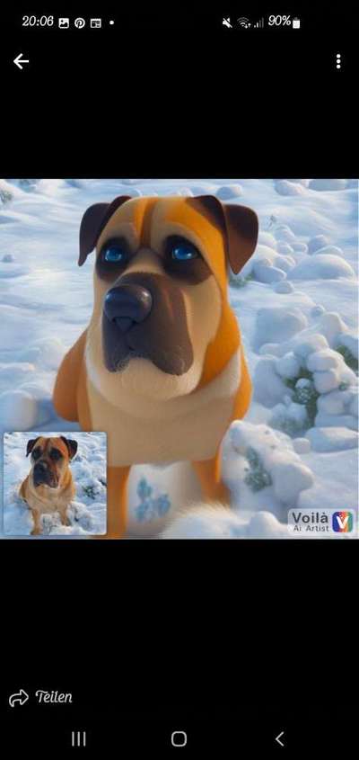 Voila app Bilder-Beitrag-Bild