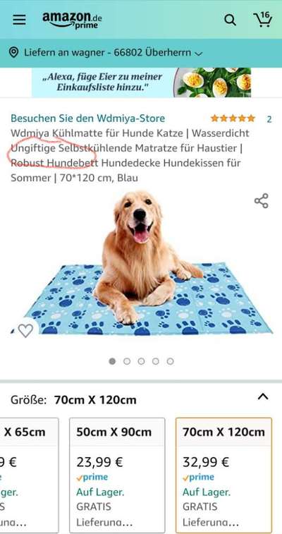 Hund und Wärme-Beitrag-Bild