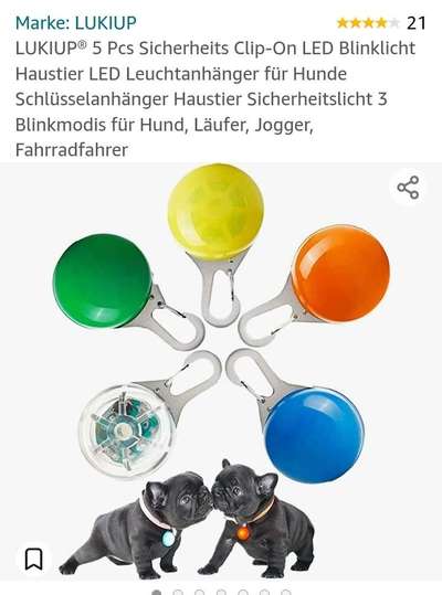 Blinkende Leuchthalsbänder, schädlich für Mensch und Hund-Beitrag-Bild