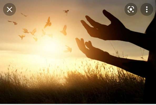 Wie heißt dein Hund?-Beitrag-Bild