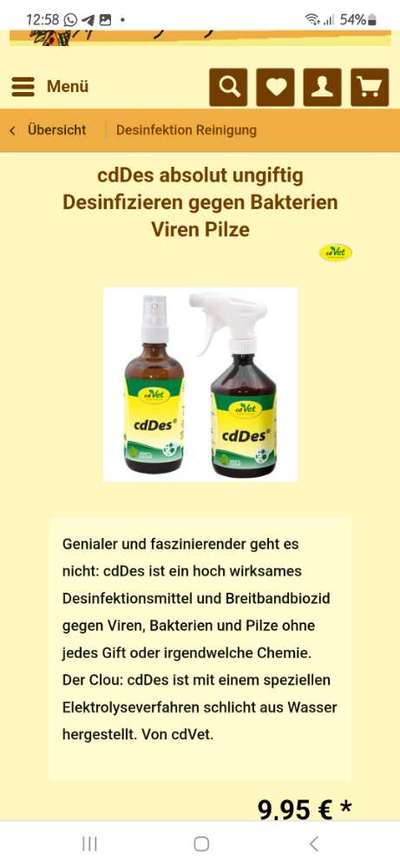 Hundefell desinfizieren-Beitrag-Bild