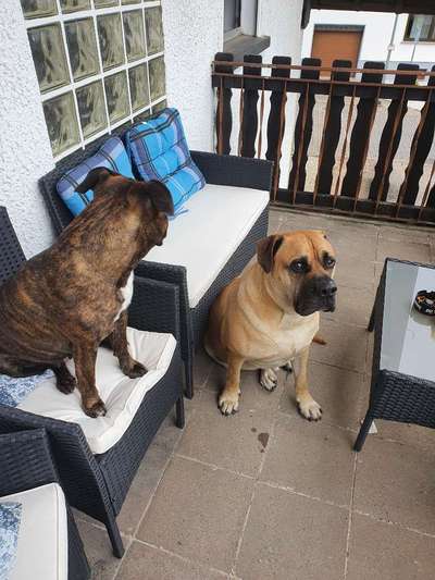 Gibt es Namens-Verwandte-Beitrag-Bild