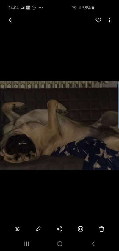 Zeigt mir eure Lieblingsfotos ♡♡-Beitrag-Bild